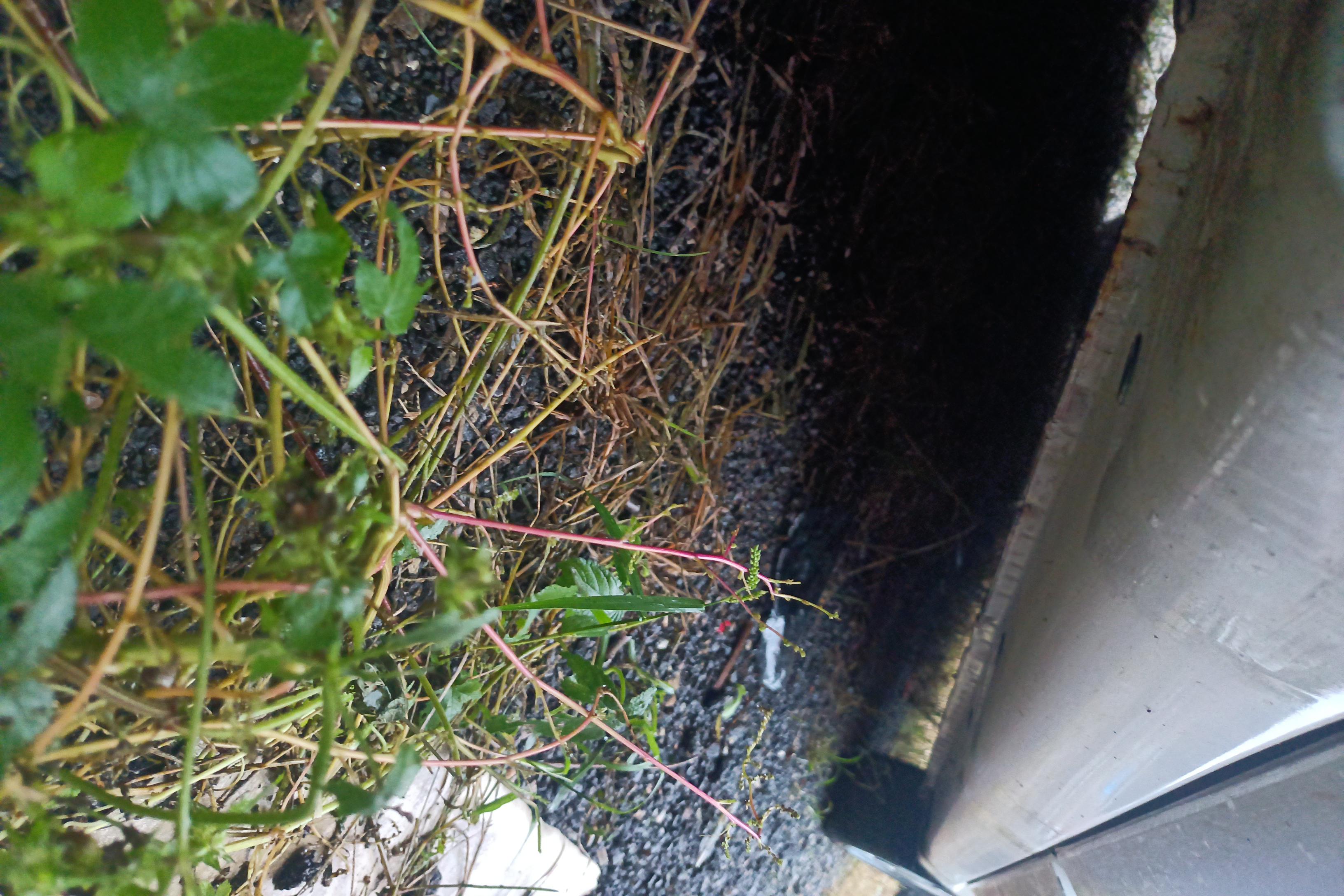 Chery Arrizo M7 2015 car image #8