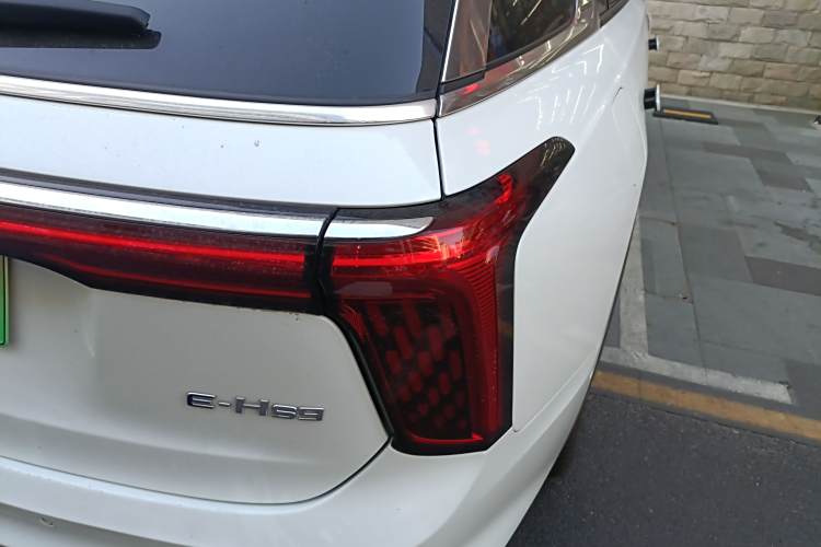 HongQi E-HS9 2023 car image #8