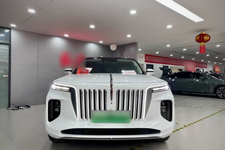 HongQi E-HS9 2024 car image #8