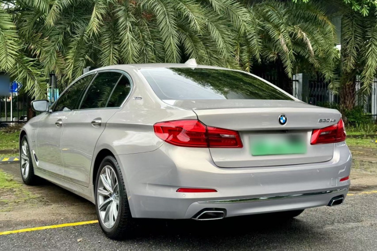 BMW 5 Series New Energy 2018 car image #8