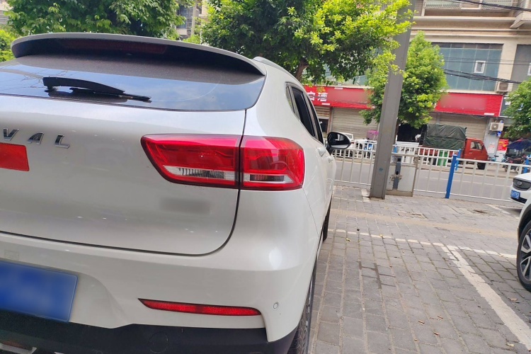 Haval F5 2020 car image #8