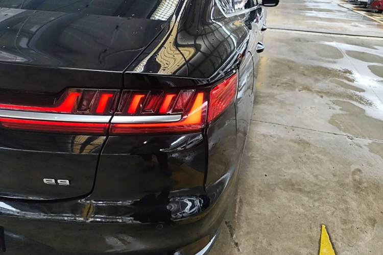 BYD e9 2021 car image #8