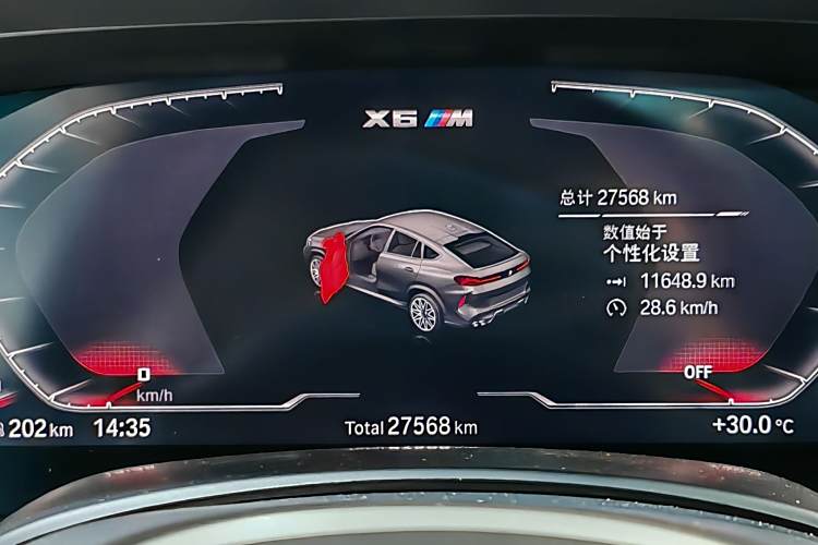 BMW X6 M 2021 immagine di auto #8