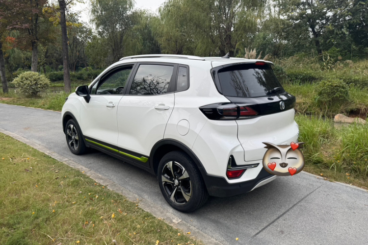Changan E-Pro New Energy 2020 car image #8