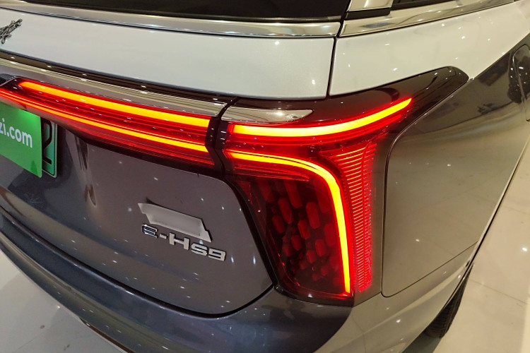 HongQi E-HS9 2022 immagine di auto #8
