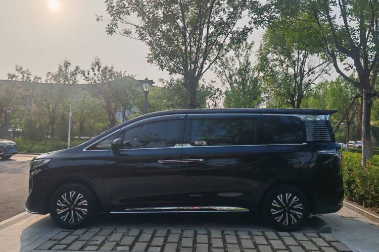 HongQi HQ9 PHEV 2024 immagine di auto #8
