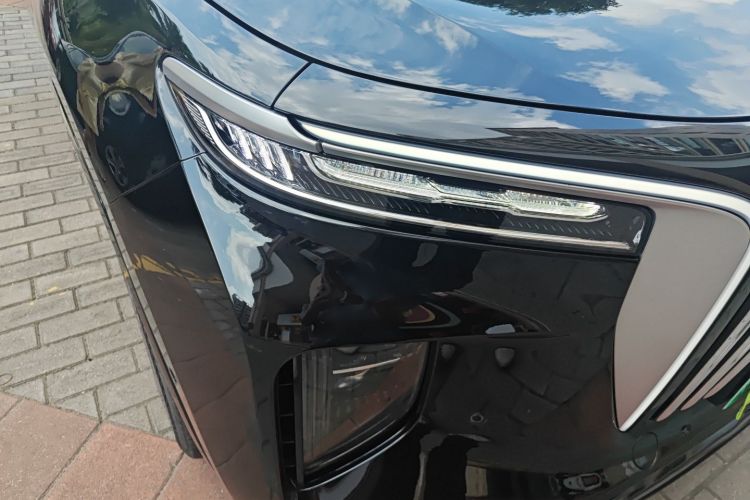 HongQi E-HS9 2022 car image #8