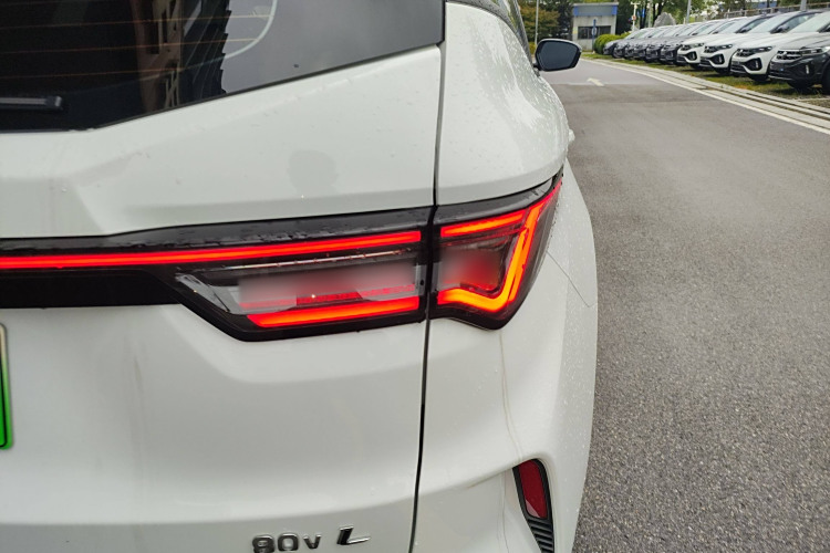 睿蓝汽车 枫叶80v 2024 汽车图片 #8