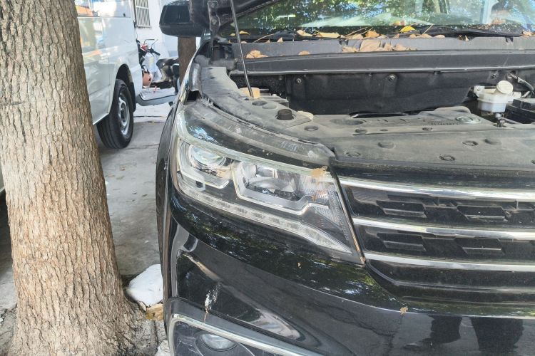 Forthing JOYEAR X5 2018 car image #8