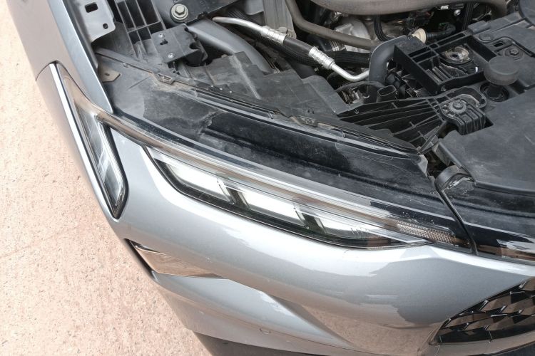 Ford Evos 2022 car image #8