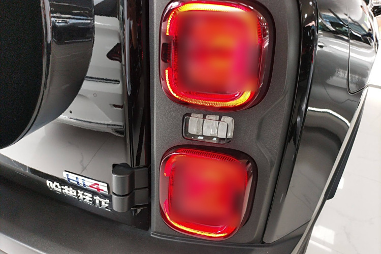 Haval Raptor 2024 car image #8