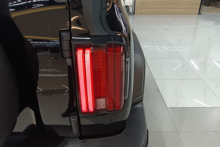 Tank 300 New Energy 2025 car image #8