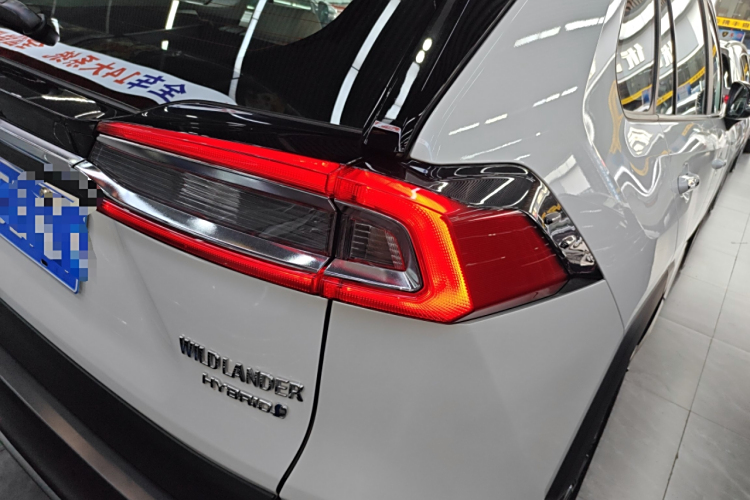 Toyota Wildlander 2024 imagem de carro #8