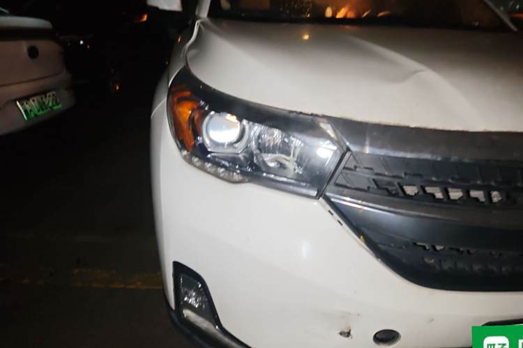 GAC Qizhi PHEV 2019 car image #8