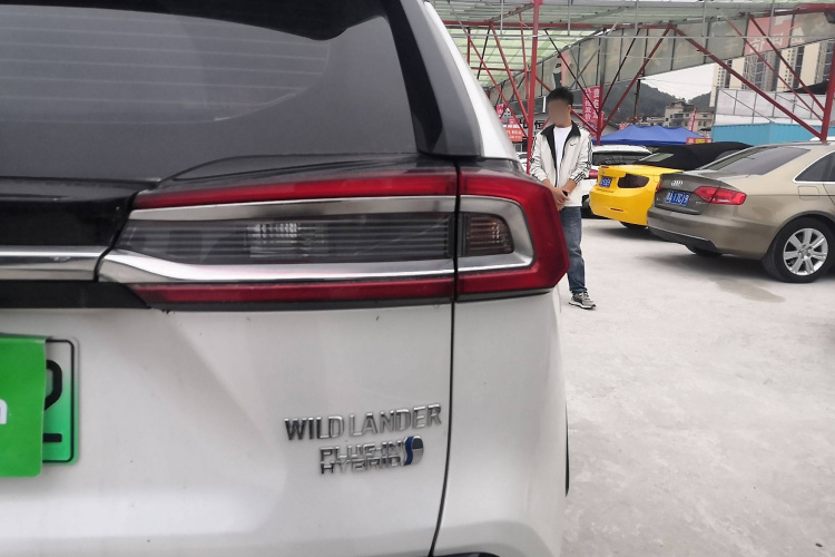 Toyota Wildlander New Energy 2021 #8 Toyota Wildlander New Energy 2021 car image #8