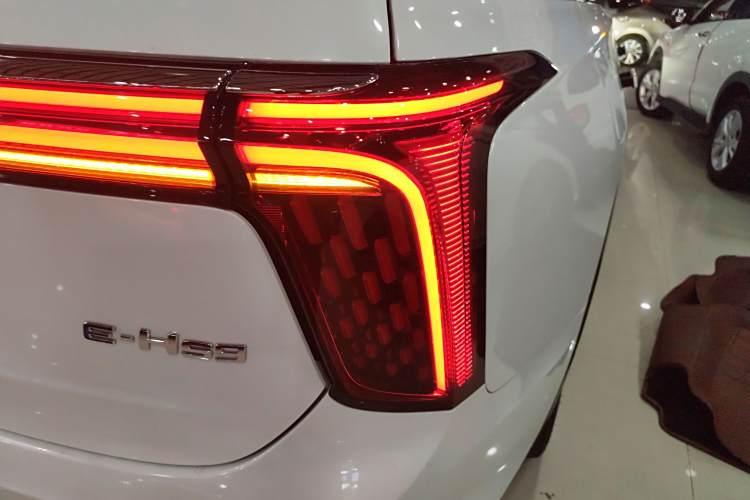 HongQi E-HS9 2021 immagine di auto #8