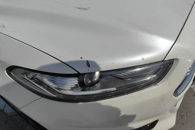 福特 蒙迪欧 2014 汽车图片 #8