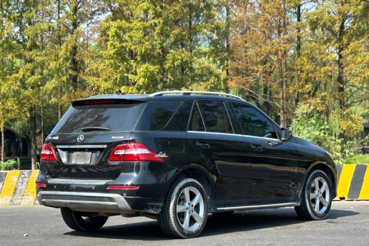 Mercedes-Benz M Class 2015 car image #8