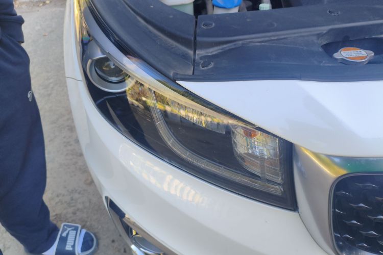 起亚 嘉华(进口) 2017 汽车图片 #8