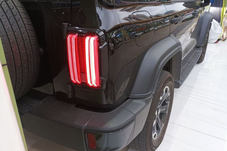 Tank 300 New Energy 2025 car image #8