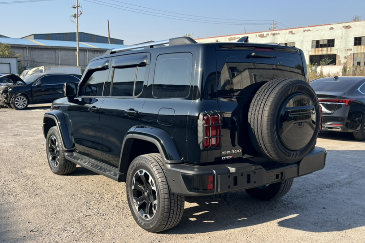 Tank 300 New Energy 2024 #8 Tank 300 New Energy 2024 immagine di auto #8