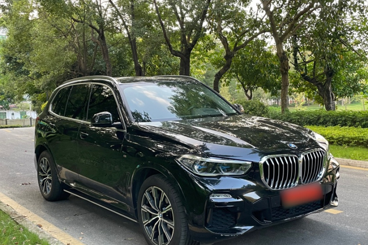 BMW X5 New Energy (Imported) 2021 car image #8