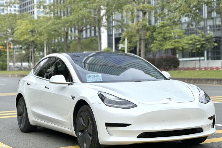 特斯拉 Model 3(进口) 2019 汽车图片 #8