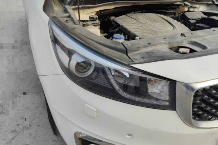 Kia Carnival (Imported) 2016 car image #8