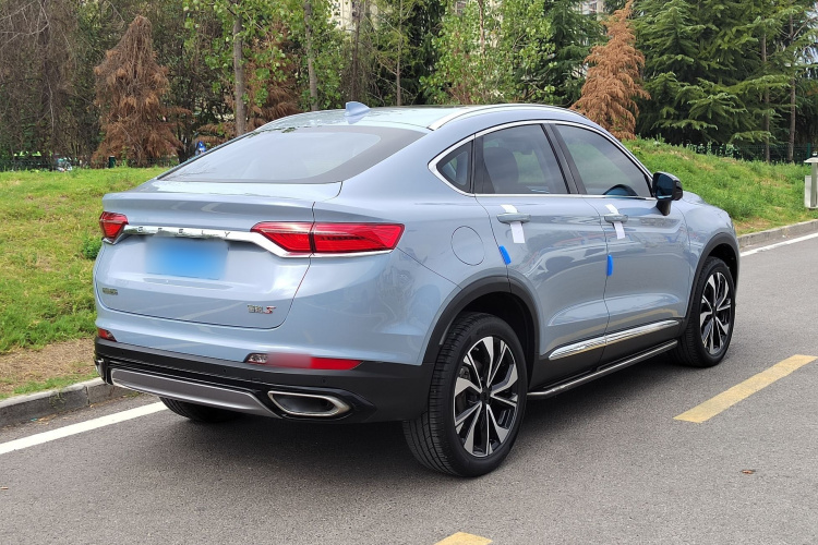 GEELY Tugella S 2021 #8 GEELY Tugella S 2021 car image #8