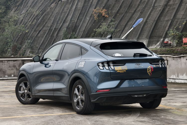 Ford Mustang Mach-E 2024 car image #8