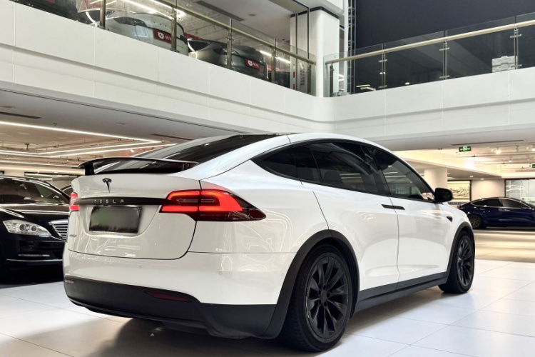 Tesla Model X 2019 car image #8