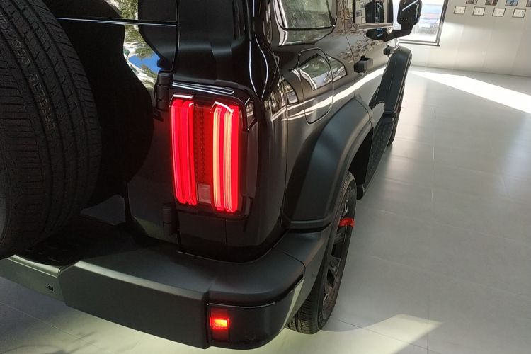 Tank 300 New Energy 2025 car image #8