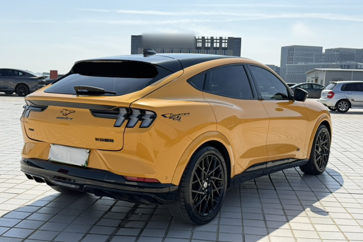 Ford Mustang Mach-E 2023 car image #8