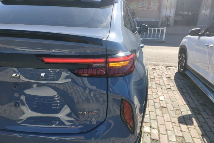 Haval H6S 2022 صورة سيارة #8