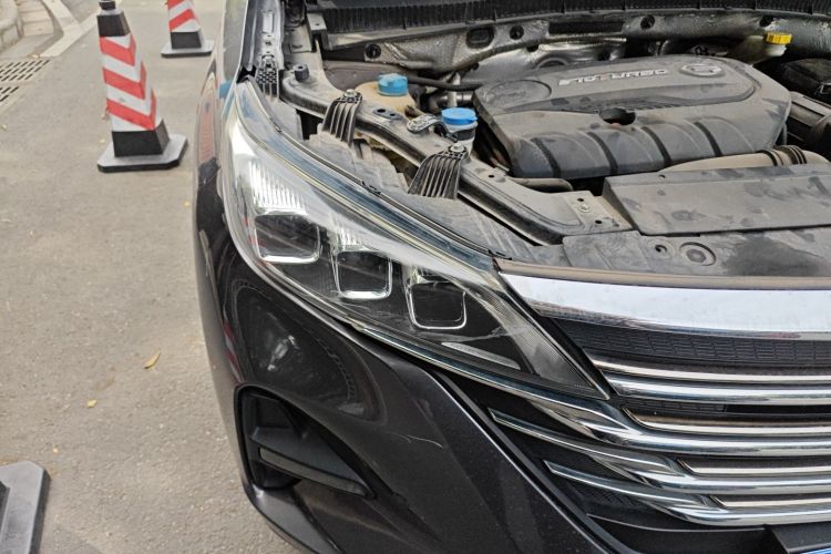 GAC Trumpchi GS5 2019 car image #8