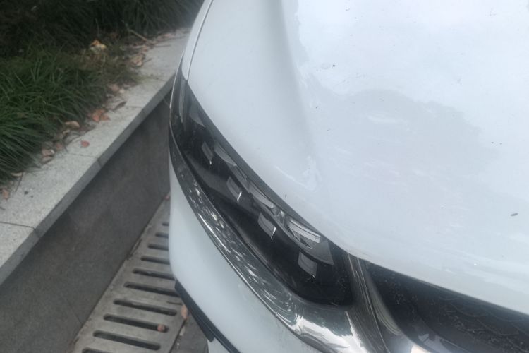 GEELY Tugella S 2021 car image #8