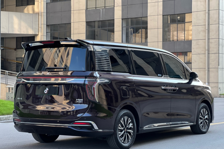 HongQi HQ9 PHEV 2024 car image #8