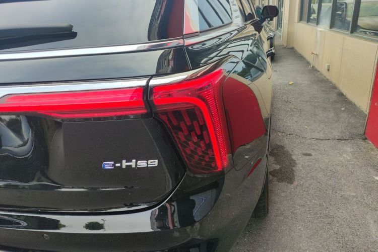 HongQi E-HS9 2022 #8 HongQi E-HS9 2022 car image #8