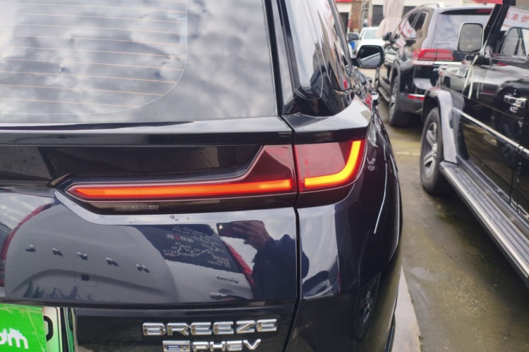 Honda Breeze New Energy 2023 car image #8