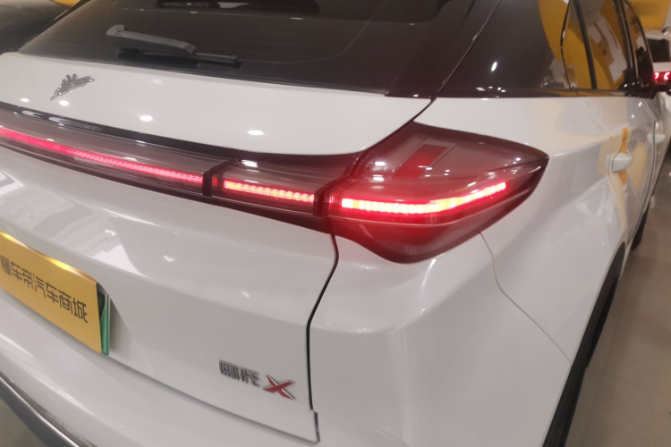 Neta X 2024 imagem de carro #8