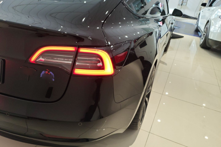 特斯拉 Model 3(进口) 2019 汽车图片 #8