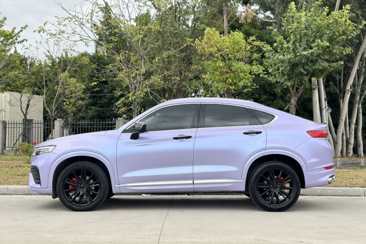 GEELY Tugella 2020 car image #8