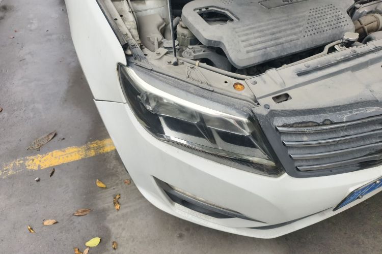 Forthing S500 2016 car image #8