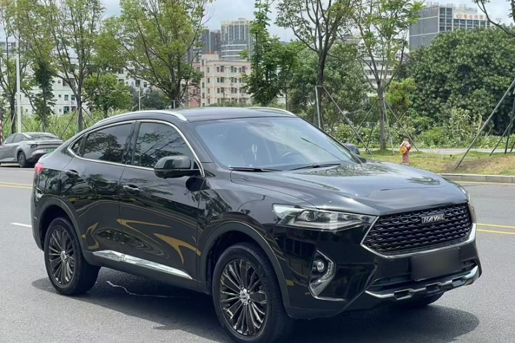 Haval F7x 2020 car image #8