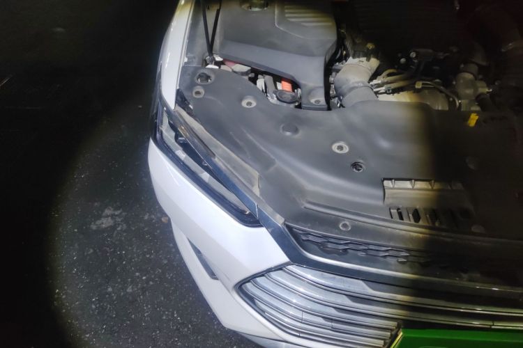 BYD Qin Pro 2020 car image #8