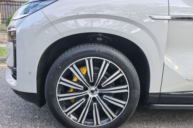 Denza N9 car image #8