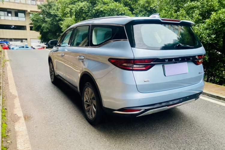 睿蓝汽车 枫叶80v PRO 2023 汽车图片 #8