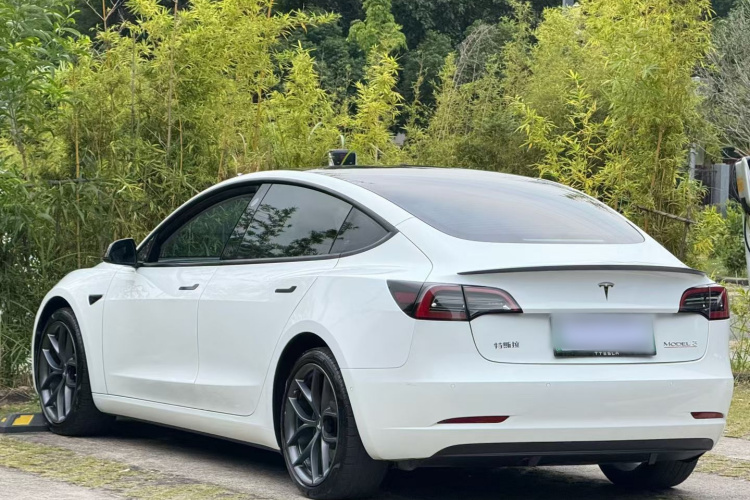 Tesla Model 3 2022 #8 Tesla Model 3 2022 car image #8