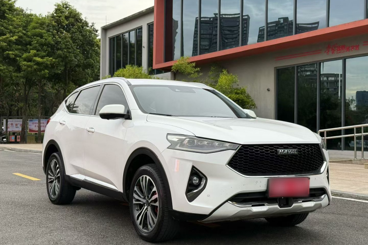 Haval F7 2019 image de voiture #8