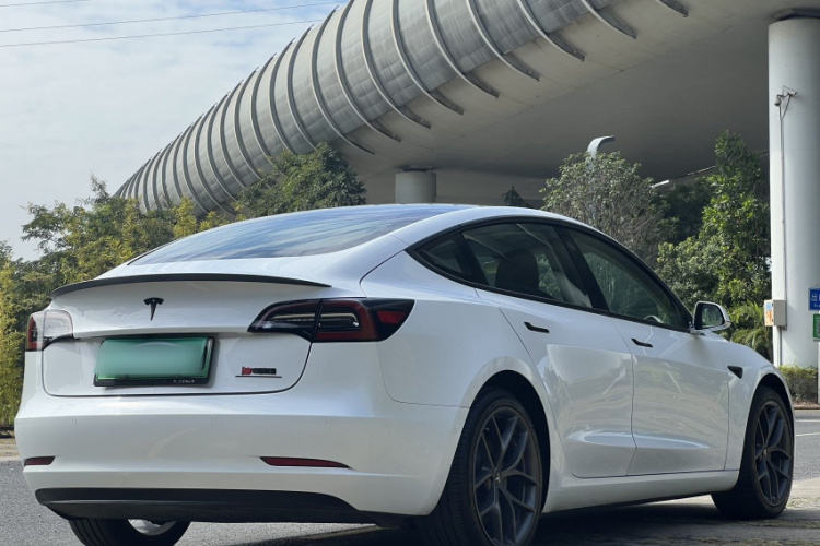 Tesla Model 3 2020 صورة سيارة #8